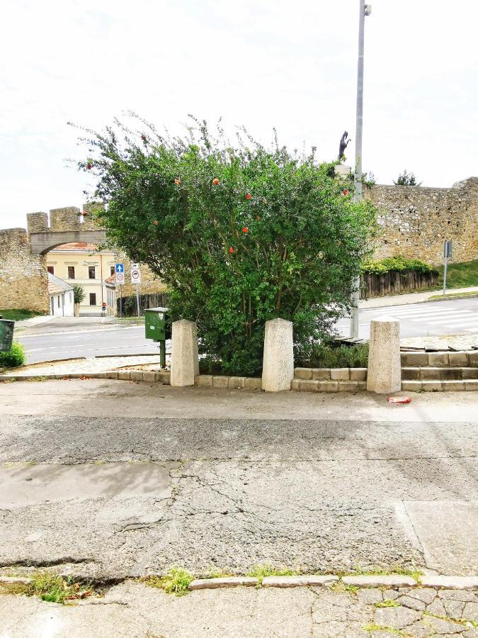 פץ' Kalvaria Vendeghaz, Kozvetlenul A Varfal Mellett. מראה חיצוני תמונה